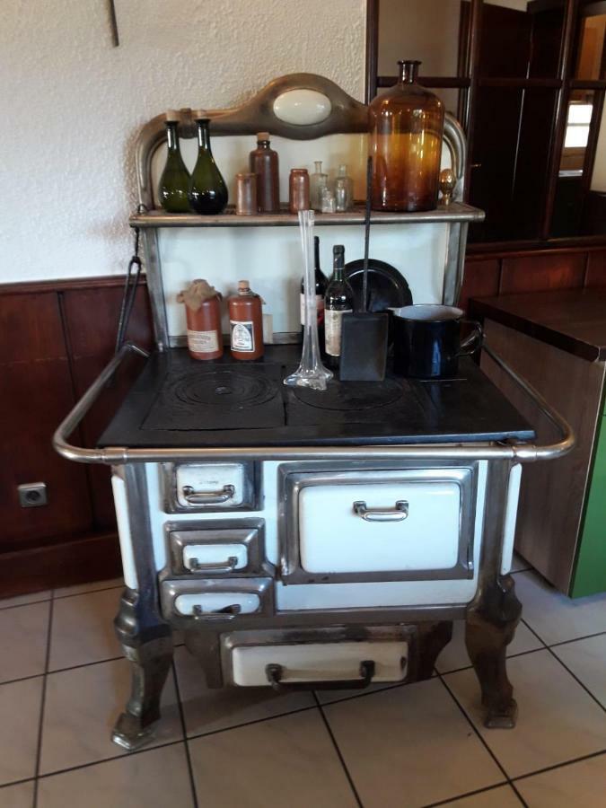 Ferienwohnung Villa Del Viola Leonardo Apartment ハインスベルク エクステリア 写真